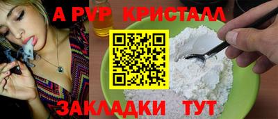 ГАЛЛЮЦИНОГЕННЫЕ ГРИБЫ Кингисепп
