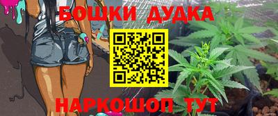 ГАЛЛЮЦИНОГЕННЫЕ ГРИБЫ Кингисепп