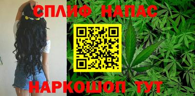ГАЛЛЮЦИНОГЕННЫЕ ГРИБЫ Кингисепп